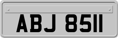 ABJ8511