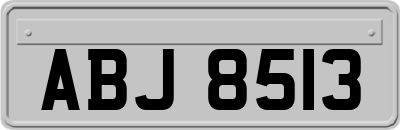 ABJ8513