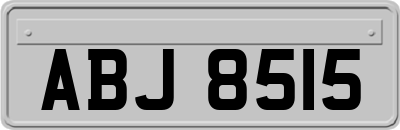 ABJ8515