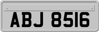 ABJ8516
