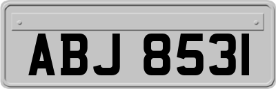 ABJ8531
