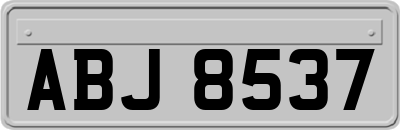 ABJ8537