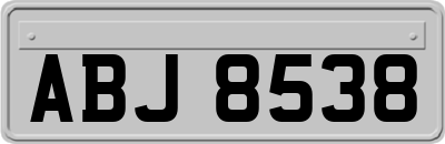 ABJ8538