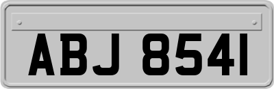ABJ8541
