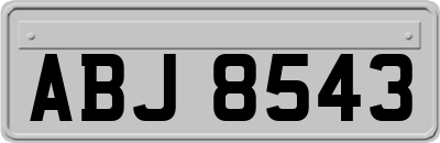ABJ8543
