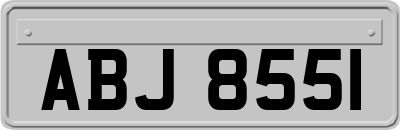 ABJ8551