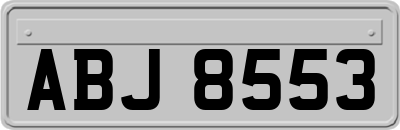 ABJ8553