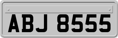 ABJ8555