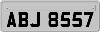 ABJ8557