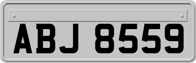ABJ8559