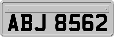 ABJ8562