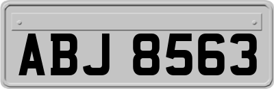 ABJ8563