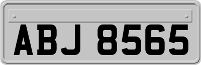 ABJ8565