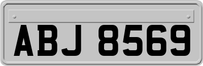 ABJ8569