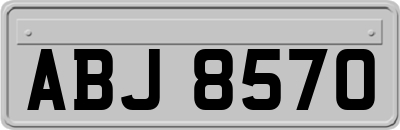 ABJ8570