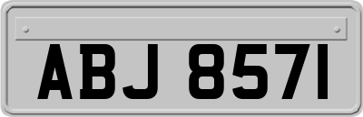 ABJ8571