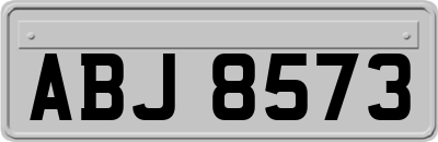ABJ8573