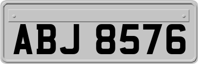 ABJ8576