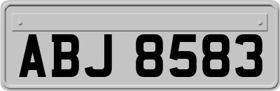 ABJ8583