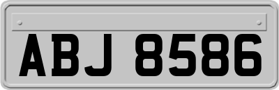 ABJ8586