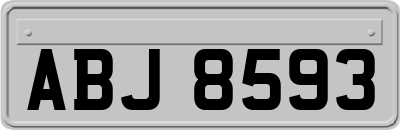 ABJ8593