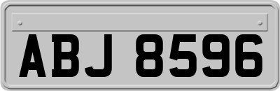ABJ8596