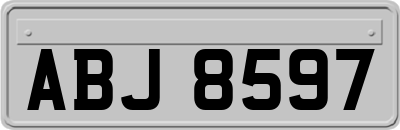 ABJ8597