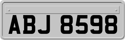 ABJ8598