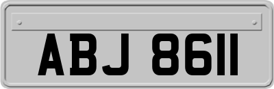 ABJ8611