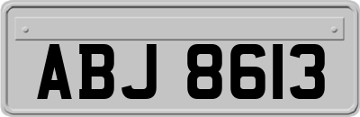 ABJ8613