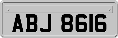 ABJ8616
