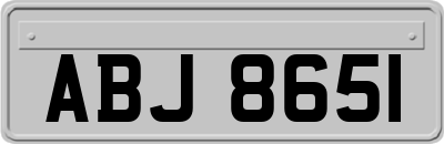 ABJ8651