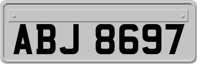 ABJ8697