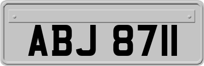 ABJ8711