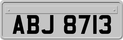 ABJ8713