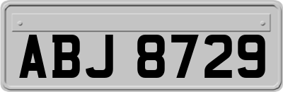ABJ8729