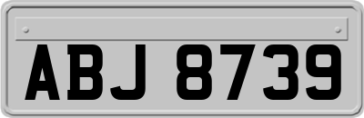 ABJ8739