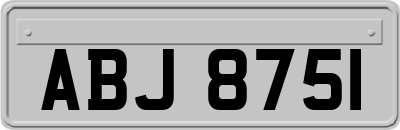 ABJ8751