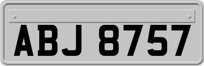 ABJ8757