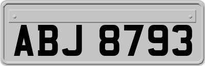 ABJ8793