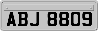 ABJ8809