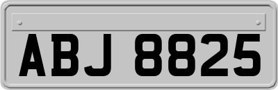 ABJ8825