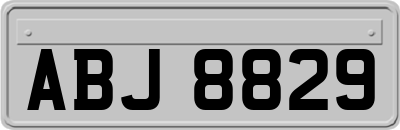ABJ8829