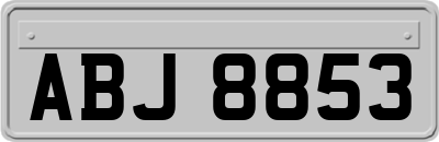 ABJ8853
