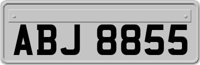 ABJ8855