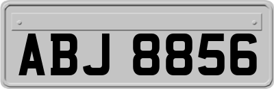 ABJ8856
