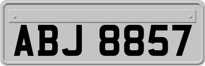ABJ8857