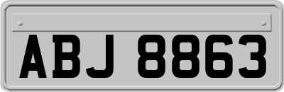 ABJ8863