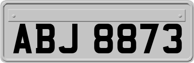 ABJ8873