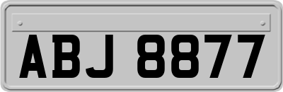 ABJ8877
